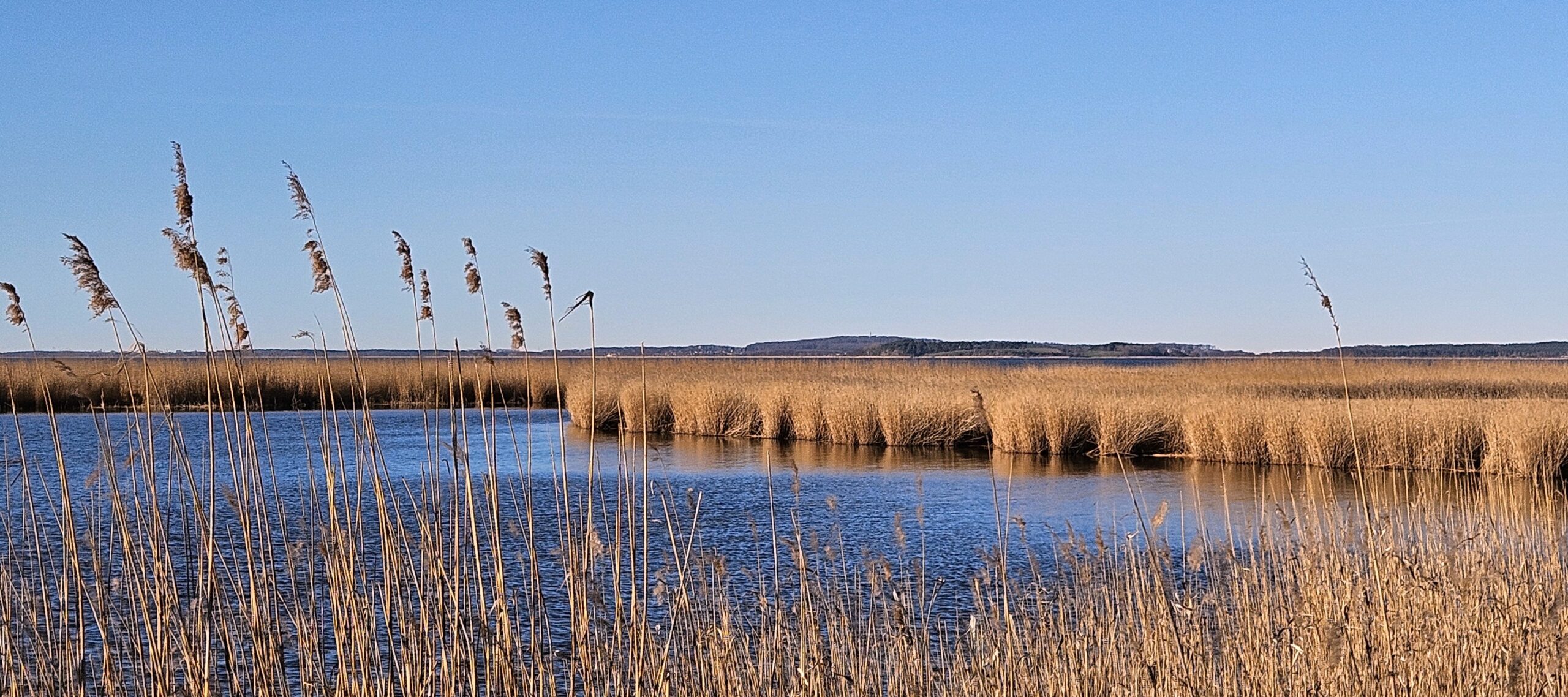 Achterwasser